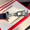 Newly Upgraded Omega Seamaster 600m Diving Watch