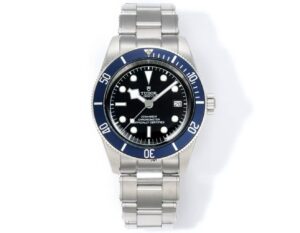 TUDOR BLACK BAY | KING OF ROLEX NO-DATE SUB HOMAGE