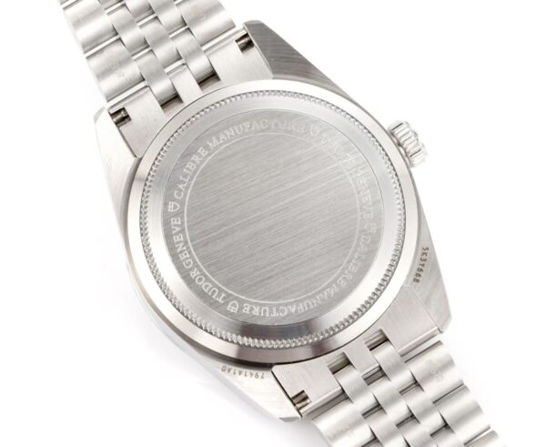 New Tudor Black Bay Series