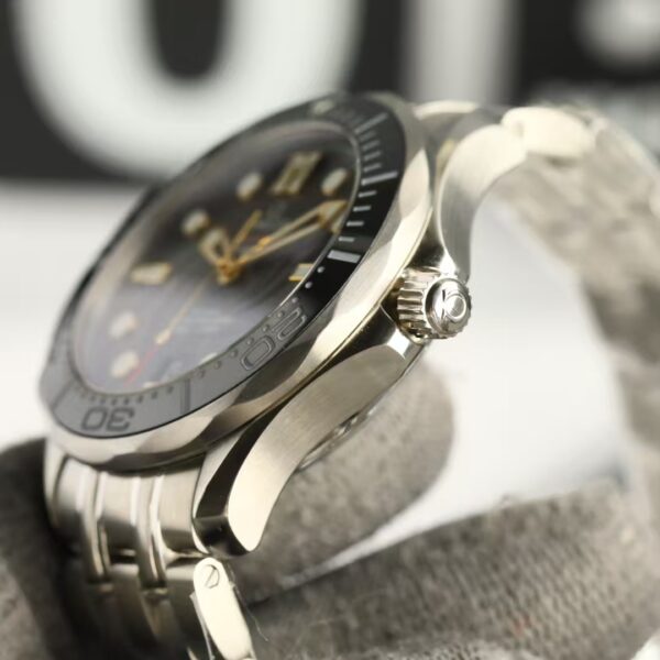 Omega Seamaster 300 Meters Ultimate Edition ⌚