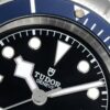 TUDOR BLACK BAY | KING OF ROLEX NO-DATE SUB HOMAGE