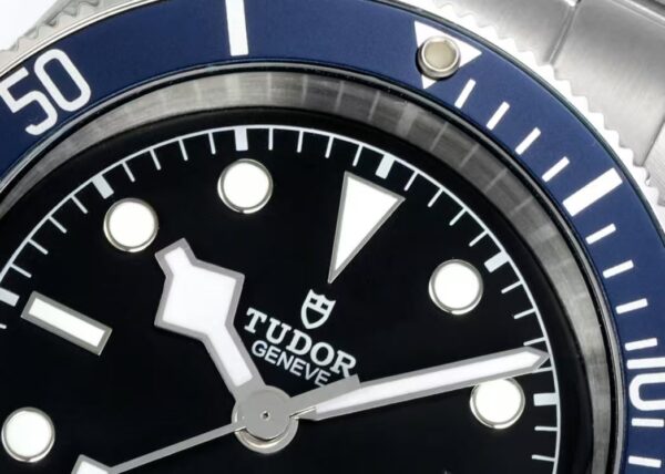 TUDOR BLACK BAY | KING OF ROLEX NO-DATE SUB HOMAGE