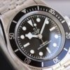 New Tudor Black Bay (Monochrome Dial Edition)