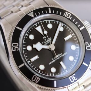 New Tudor Black Bay (Monochrome Dial Edition)